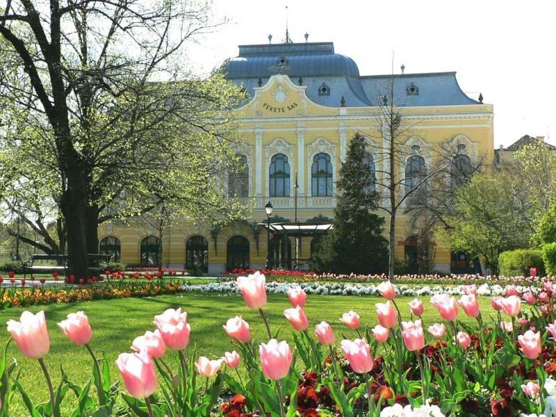 Hotel Fama Hódmezővásárhely Kültér fotó